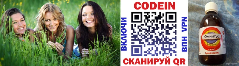 Кодеиновый сироп Lean напиток Lean (лин)  Алзамай 